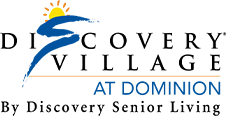 DV-Dominion_ByDSL-Logo-regular