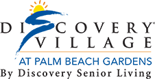 DV Palm Beach Gardens_ByDSLRegular Logo