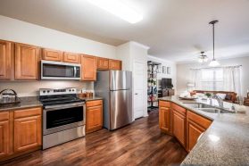 Durango Apartment Model Kitchen