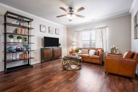 Durango Apartment Model Living Room (2)