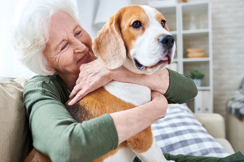 Advantages Of PetFriendly Assisted Living Communities Discovery Village
