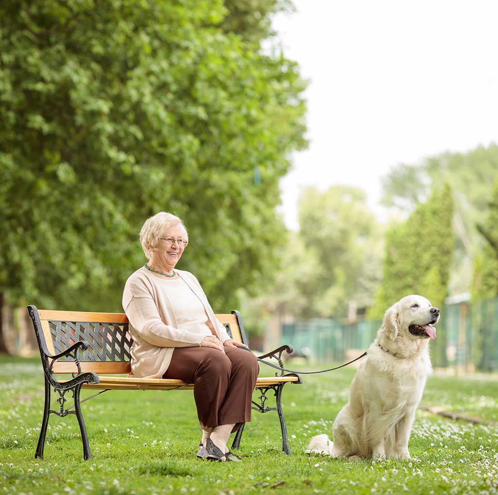 Companion animals: can they alleviate loneliness among older adults?