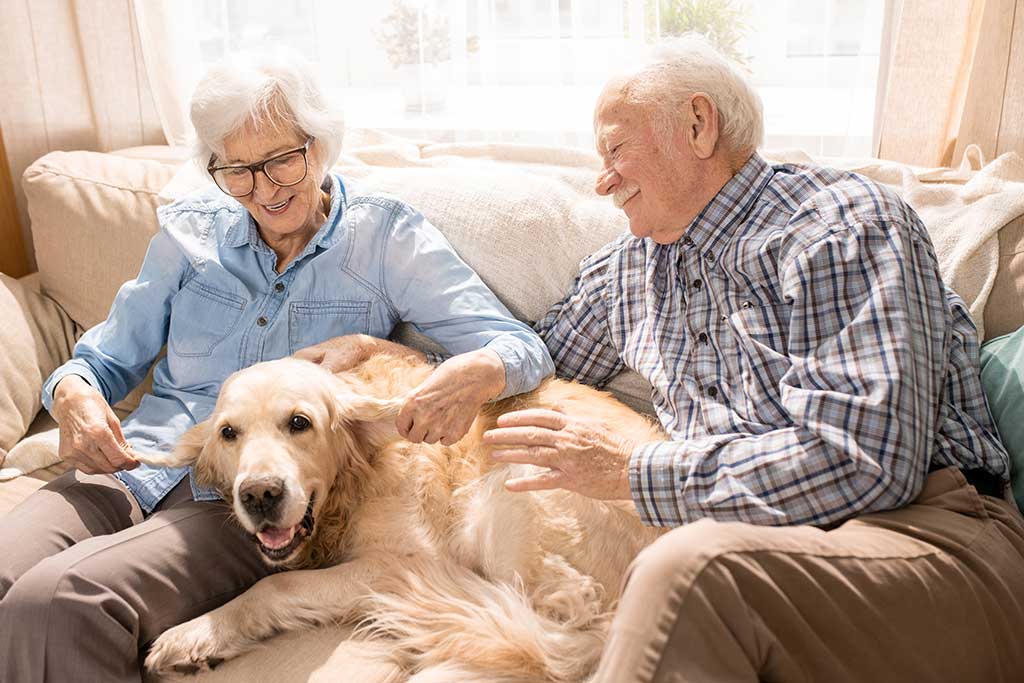 Reasons Why Growing Old Is Better With A Dog Discovery Village