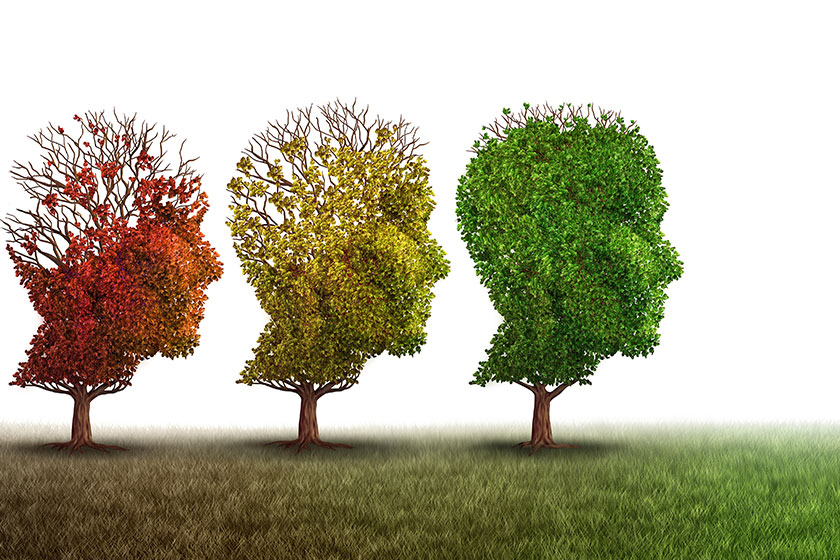 7 Types Of Dementia Behaviors Discovery Village