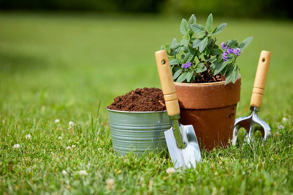 Garden Tools For Arthritis Sufferers