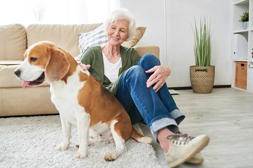The Value Of A PetFriendly Assisted Living In Indian Harbour Beach, FL Discovery Village