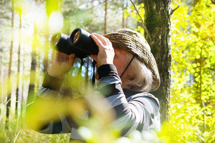 7 Best Birdwatching Spots For Your Active Retirement In Independent